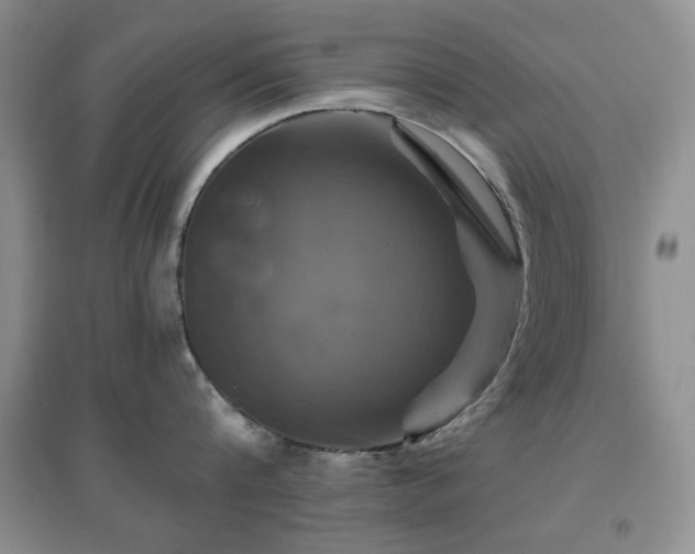 X0000096970816200802081251
