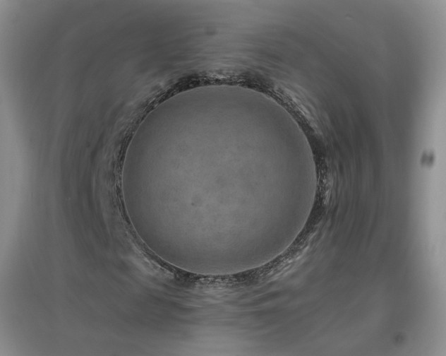 X0000096970817200802081250