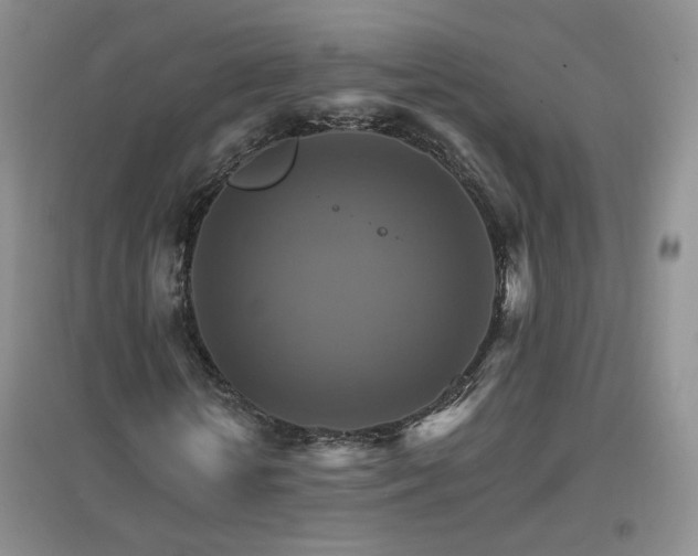X0000096970818200802081250