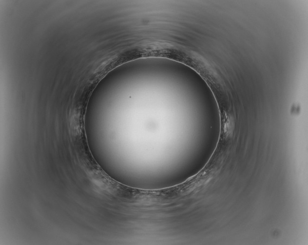 X0000096970819200802081250