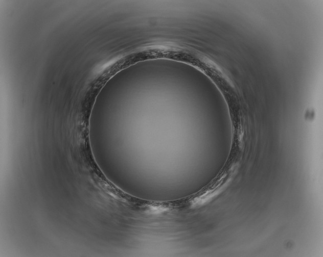 X0000096970822200802081250