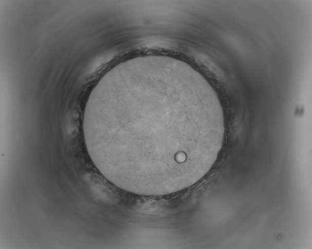 X0000096970824200802081250
