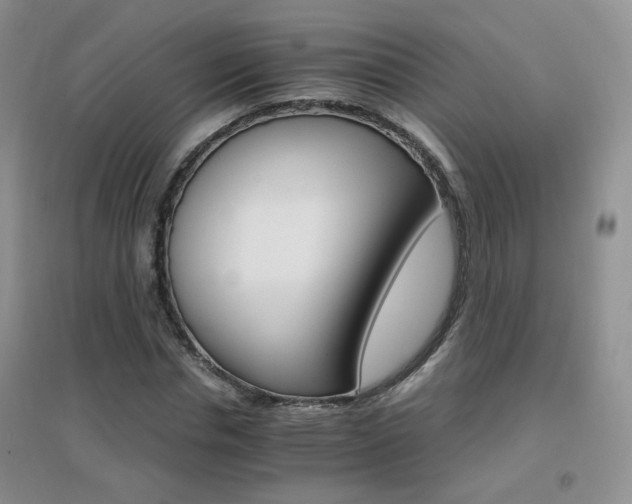X0000096970826200802081250