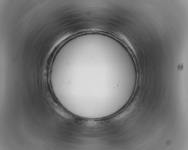X0000096970827200802081250