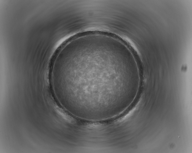 X0000096970830200802081250