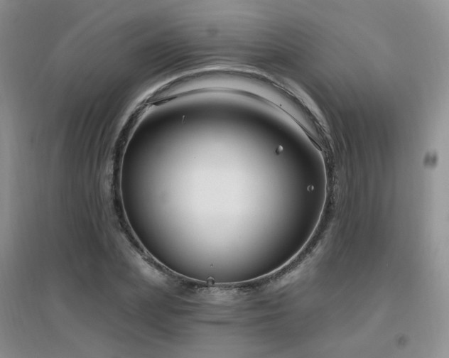 X0000096970831200802081250