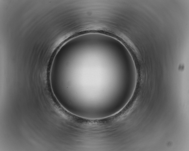 X0000096970834200802081250