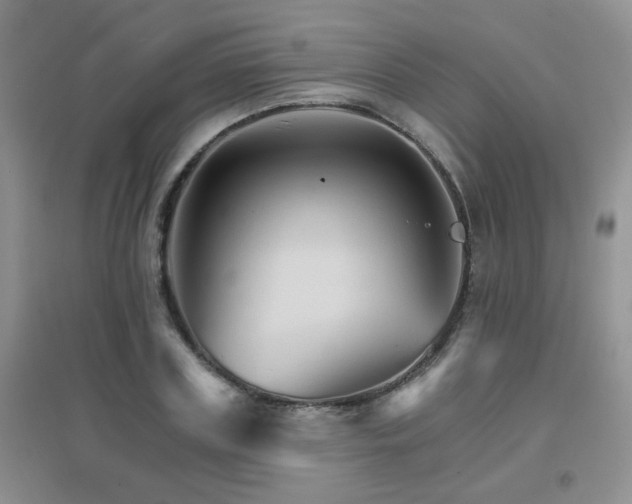 X0000096970835200802081250