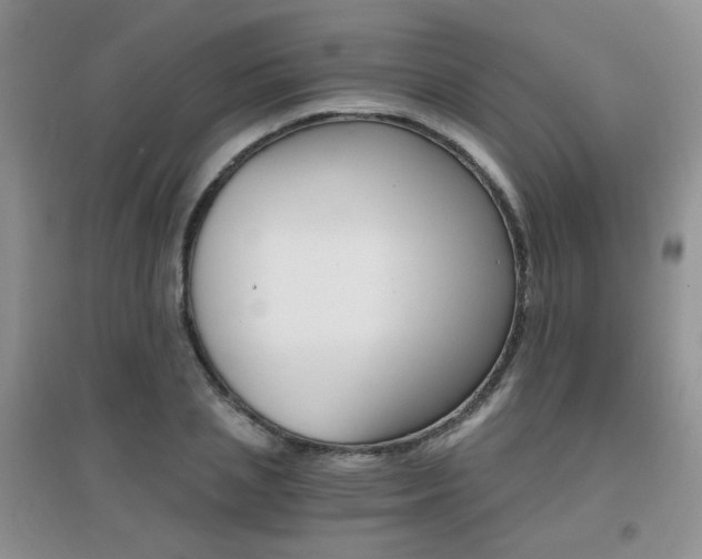 X0000096970837200802081250