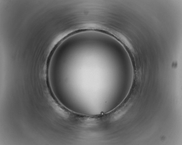 X0000096970839200802081250