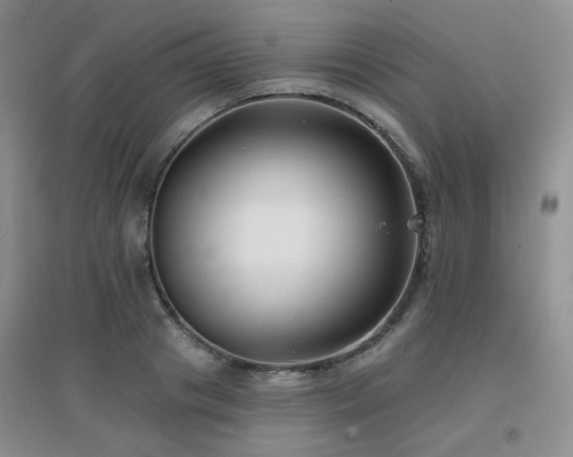 X0000096970841200802081250