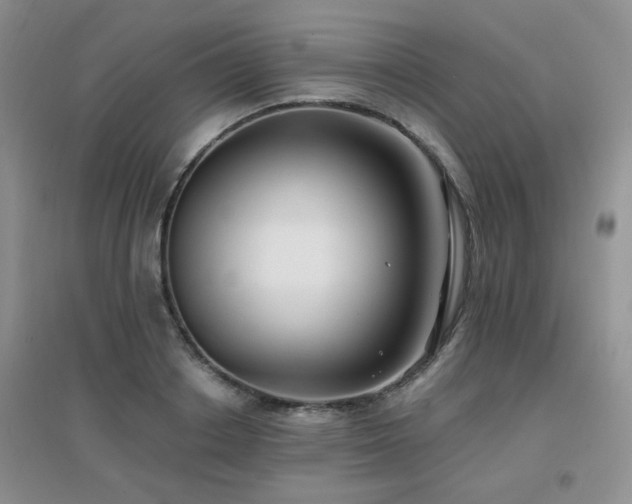 X0000096970842200802081250