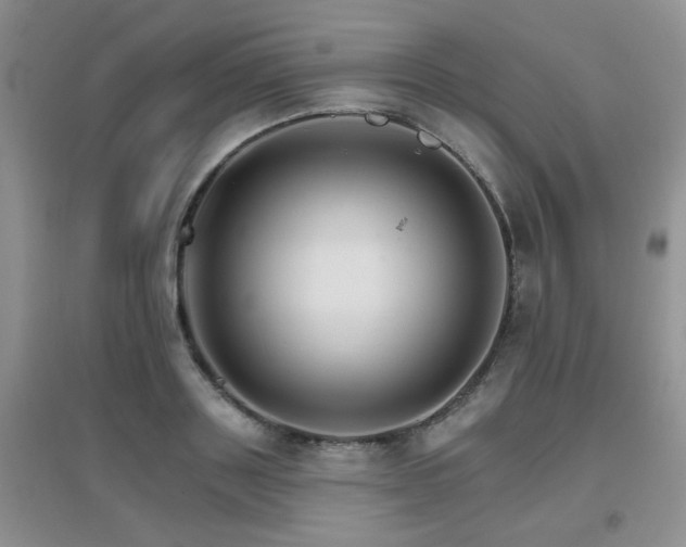 X0000096970843200802081250