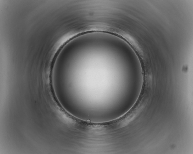X0000096970846200802081250
