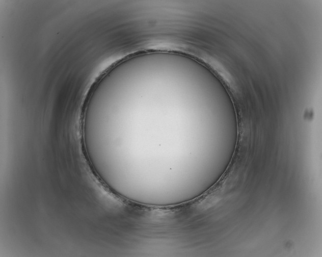 X0000096970848200802081251