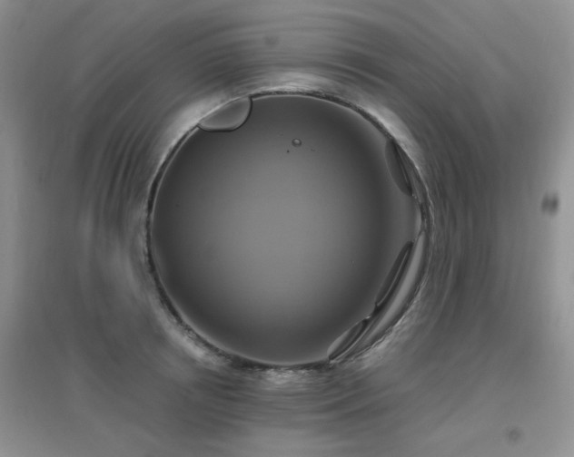 X0000096970850200802081251