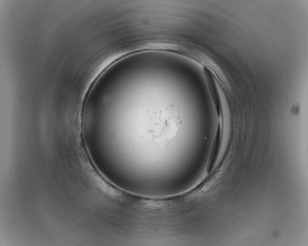 X0000096970852200802081251