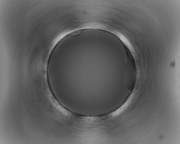X0000096970854200802081251