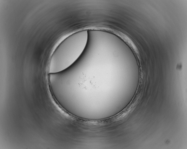 X0000096970855200802081251