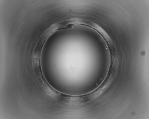 X0000096970857200802081251