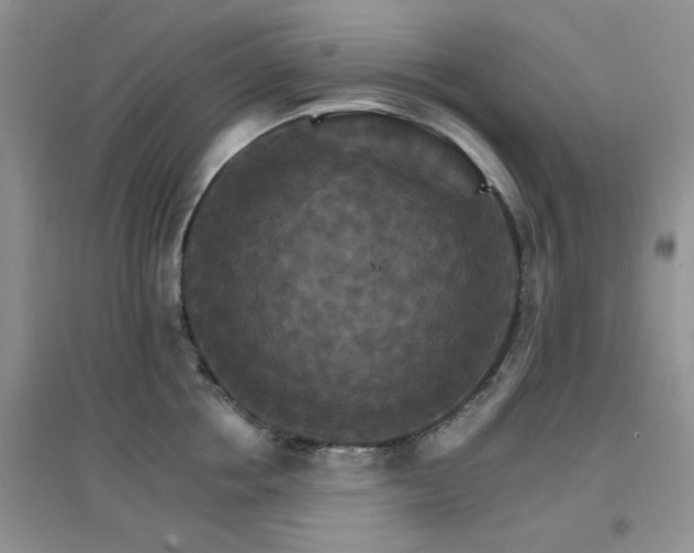 X0000096970858200802081251