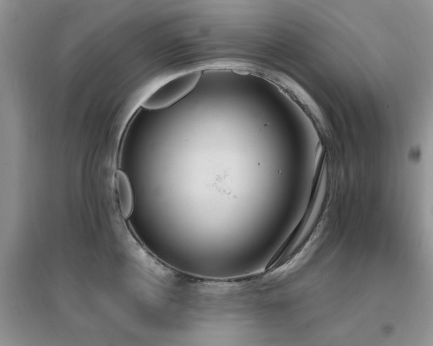 X0000096970860200802081251