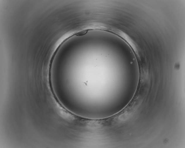 X0000096970861200802081251
