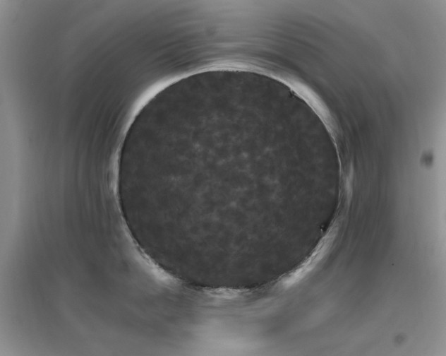 X0000096970862200802081251