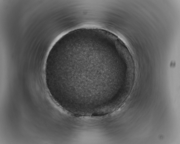 X0000096970864200802081251