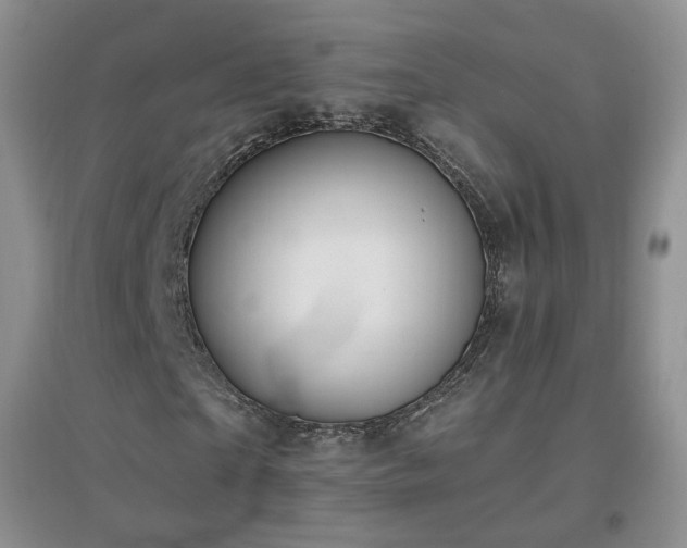 X0000096970865200802081250