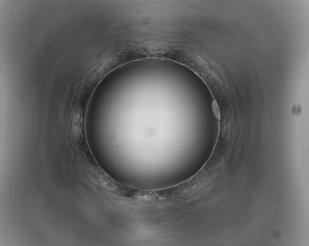 X0000096970866200802081250