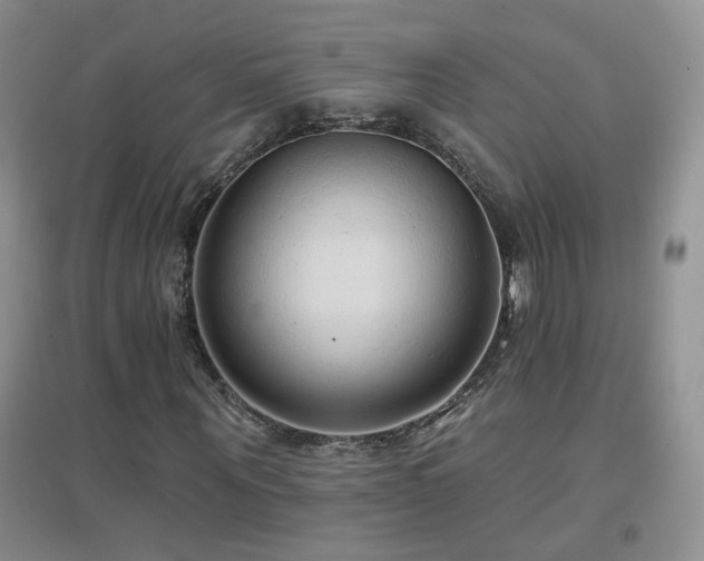 X0000096970867200802081250
