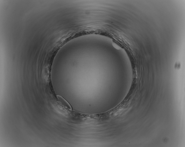X0000096970868200802081250