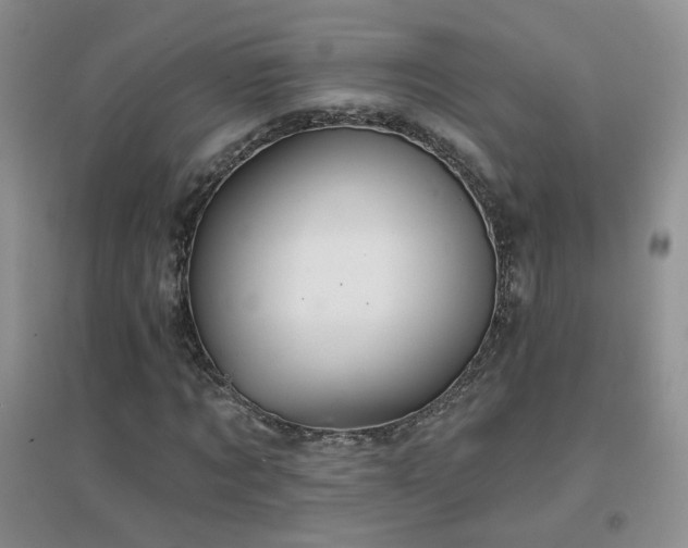X0000096970869200802081250