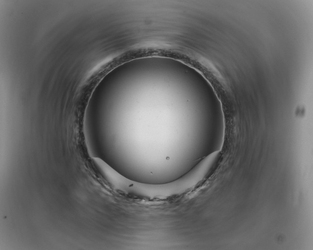 X0000096970872200802081250