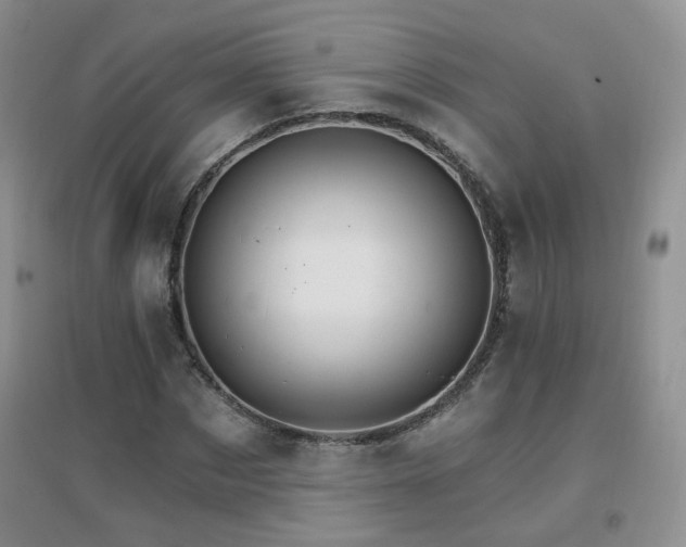 X0000096970873200802081250