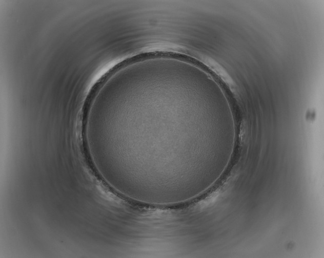 X0000096970877200802081250