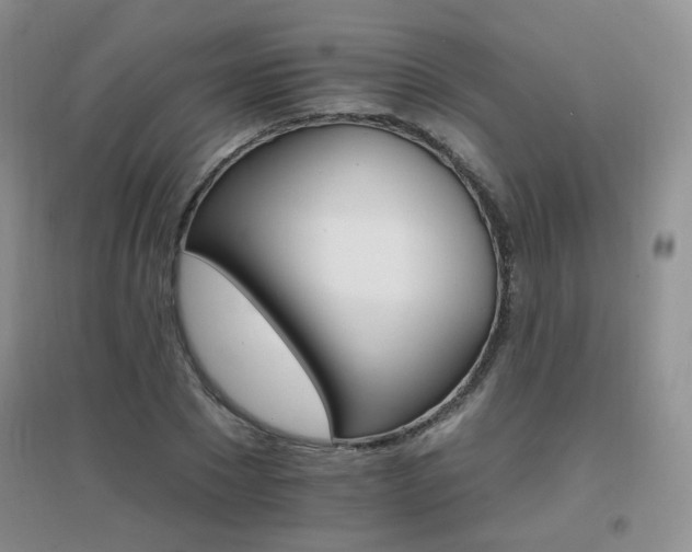 X0000096970881200802081250