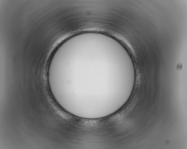 X0000096970882200802081250