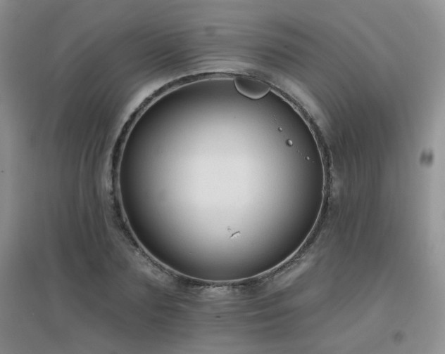 X0000096970883200802081250