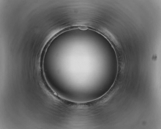 X0000096970884200802081250