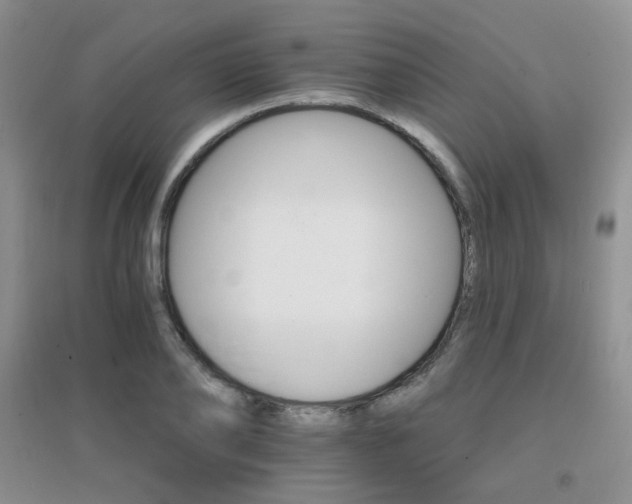 X0000096970886200802081250