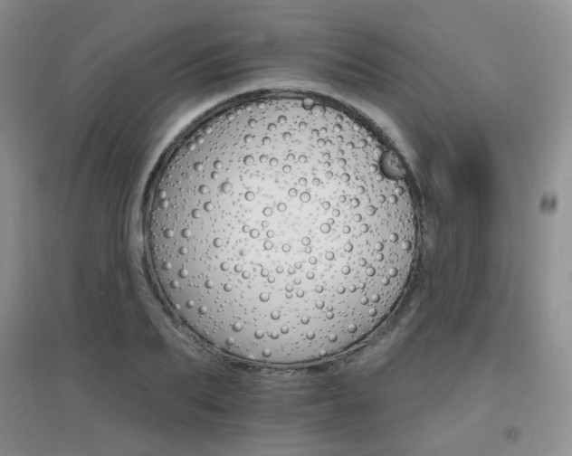 X0000096970887200802081250