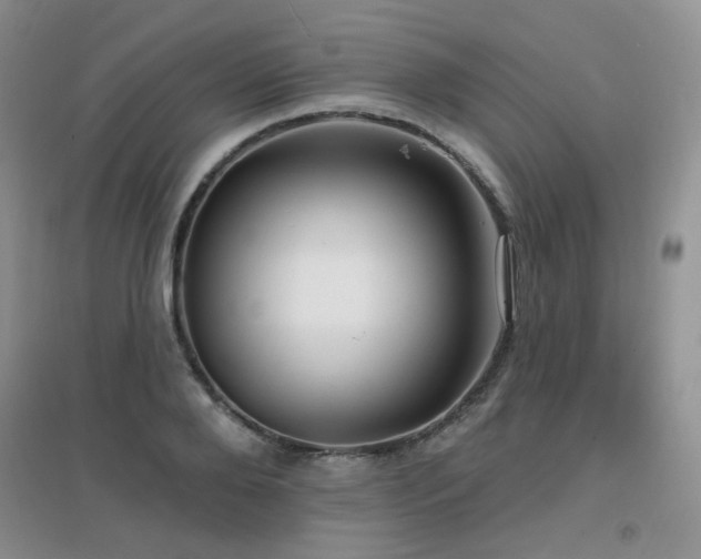 X0000096970888200802081250