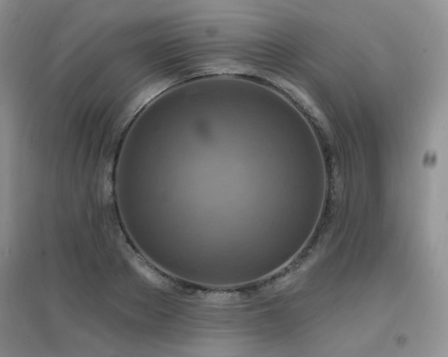 X0000096970889200802081250
