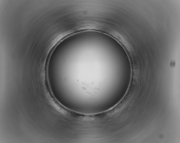 X0000096970890200802081250