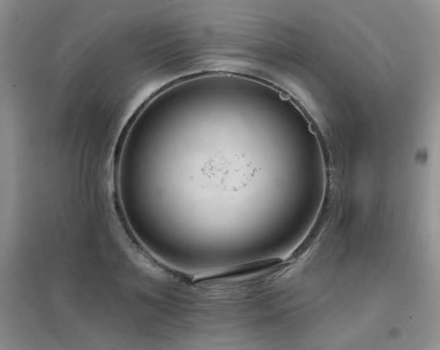 X0000096970891200802081250