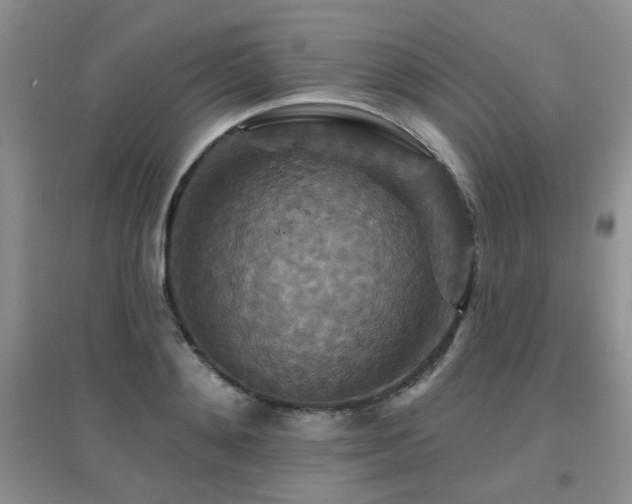 X0000096970892200802081250