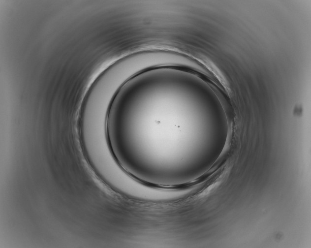 X0000096970893200802081250