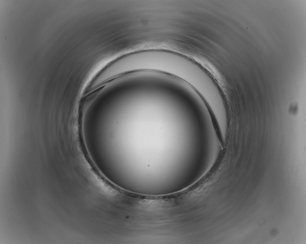 X0000096970894200802081250